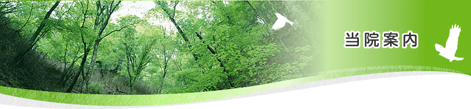 当院案内