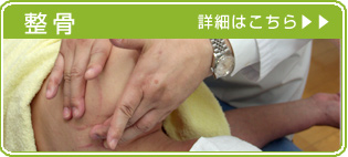 整骨