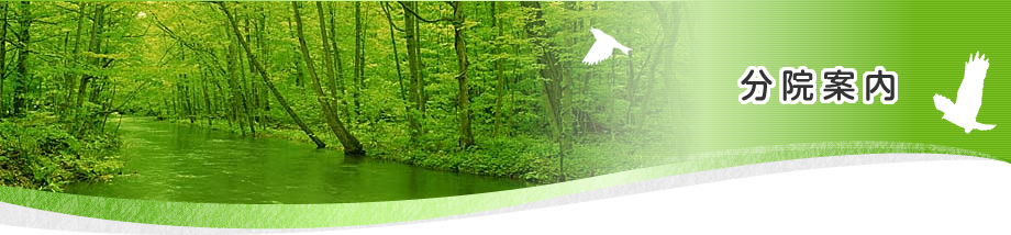 分院案内