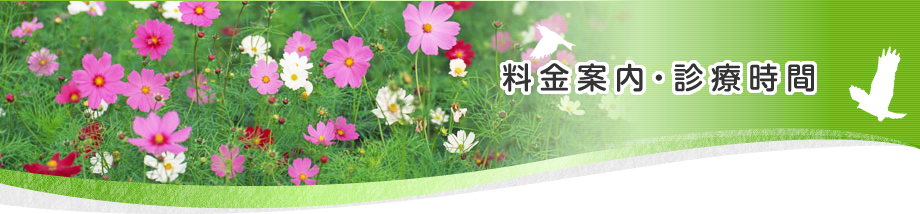 料金案内・診察時間