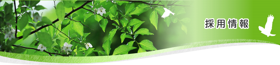 採用情報